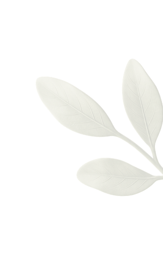 Decorative leaf